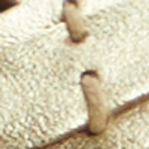 Seafish 3 Flip Flop Sandal