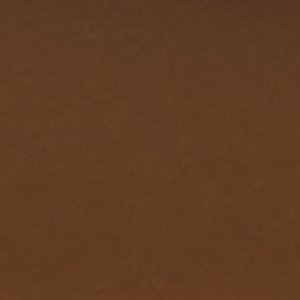 Saltwater™ 1 Eye Duck Shoe