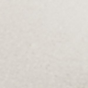 Mule Fish 2