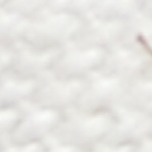 Isla Thong Embroider Sandal