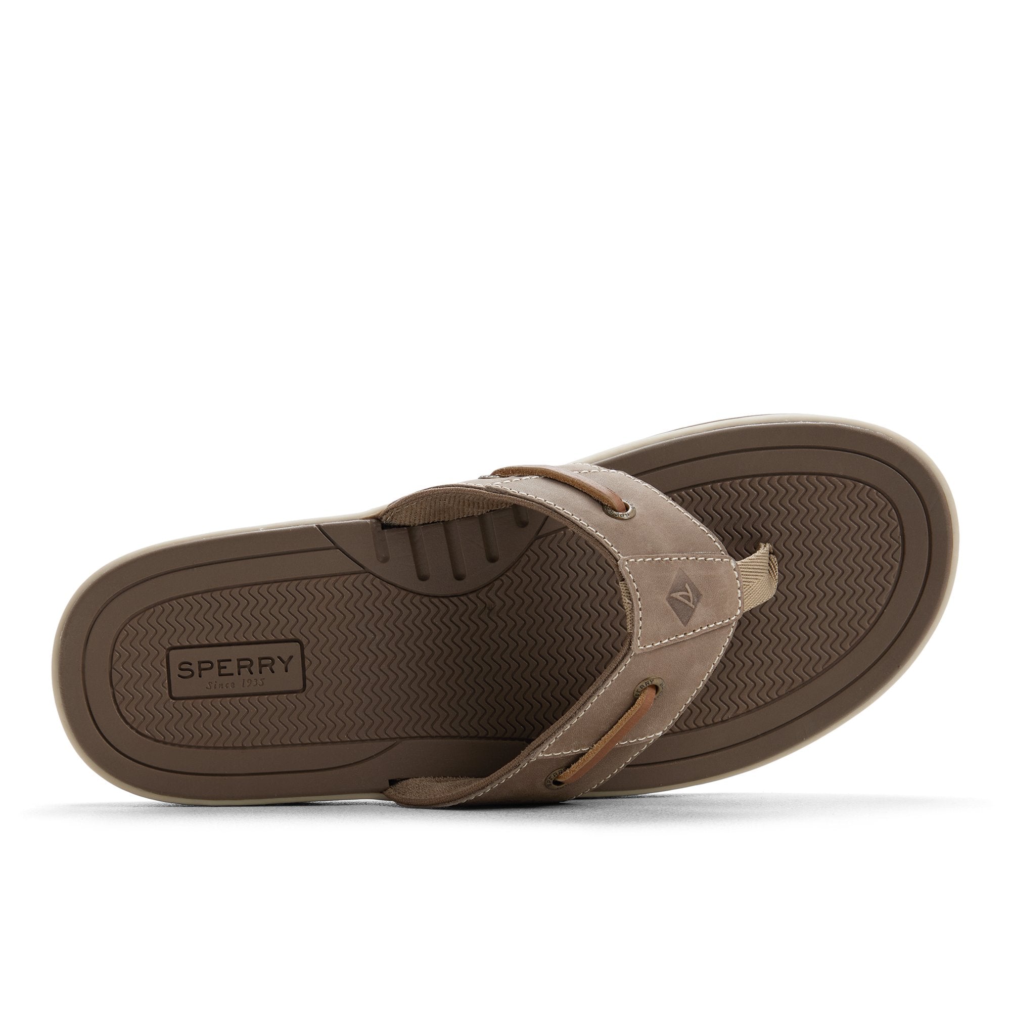 Baitfish Thong Sandal