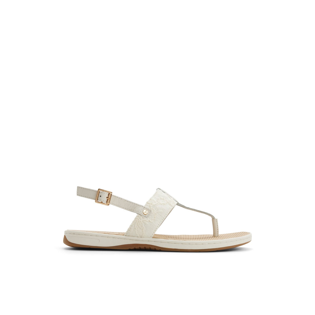Sunfish Thong Sandal