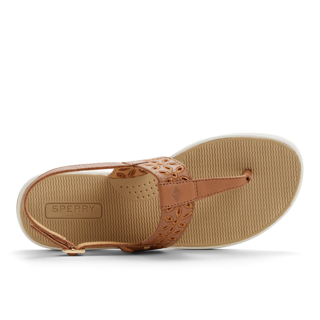 Sunfish Thong Sandal