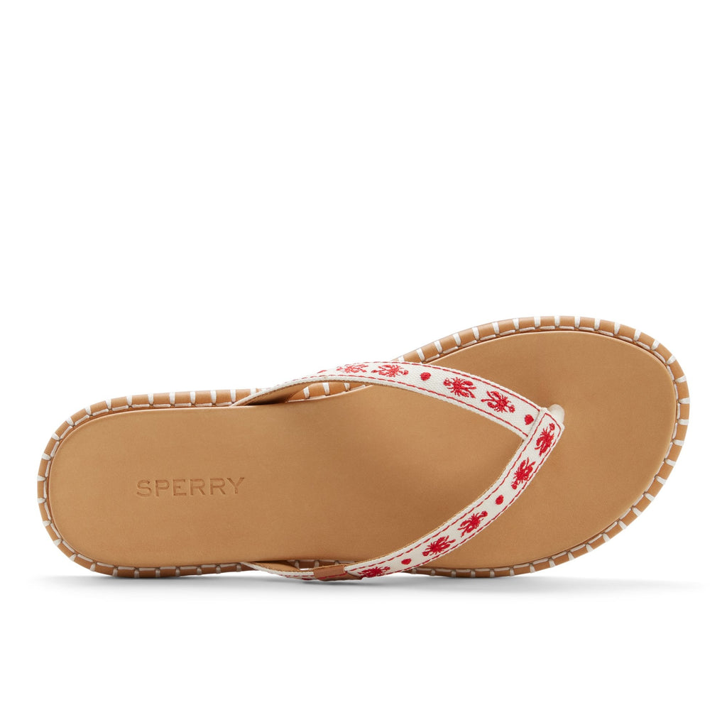Isla Thong Embroider Sandal